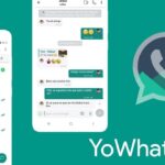 YoWhatsApp APK